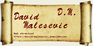 David Malešević vizit kartica
